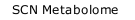 SCN Metabolome