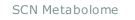 SCN Metabolome